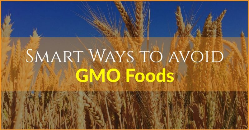 more ways to avoid gmo foods