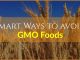 more ways to avoid gmo foods