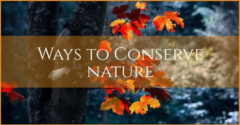 6 ways to nature conservation