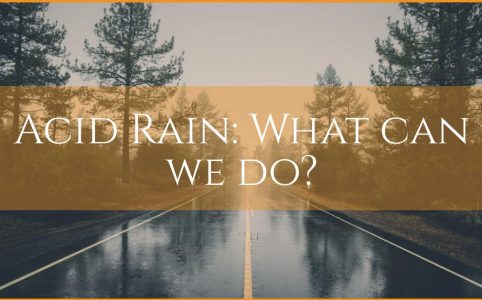 acid rain - what can we do